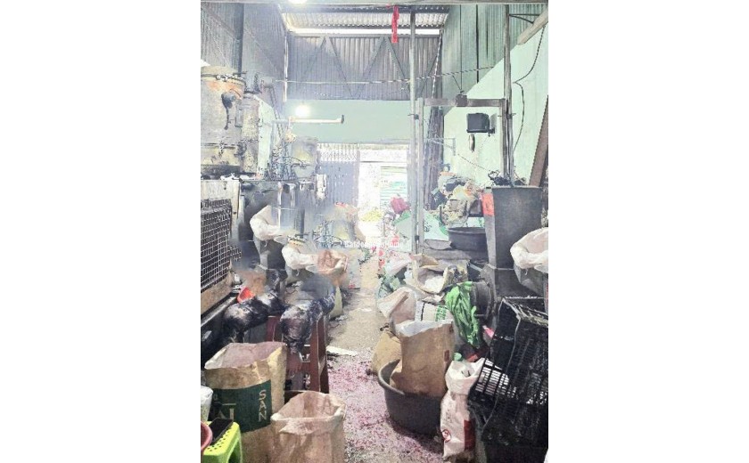 Nhà SHR Nở hậu Đường 10m 81m2 – Phan Anh Bình Tân SS